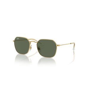 Ray-Ban RJ9594S 223/71 49 Çocuk Unisex Güneş Gözlüğü